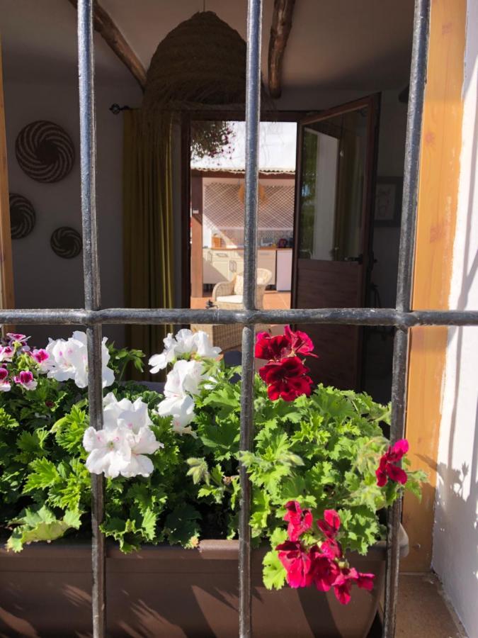 Bed and Breakfast Casa La Alegria 37 Villanueva de Tapia Exteriér fotografie